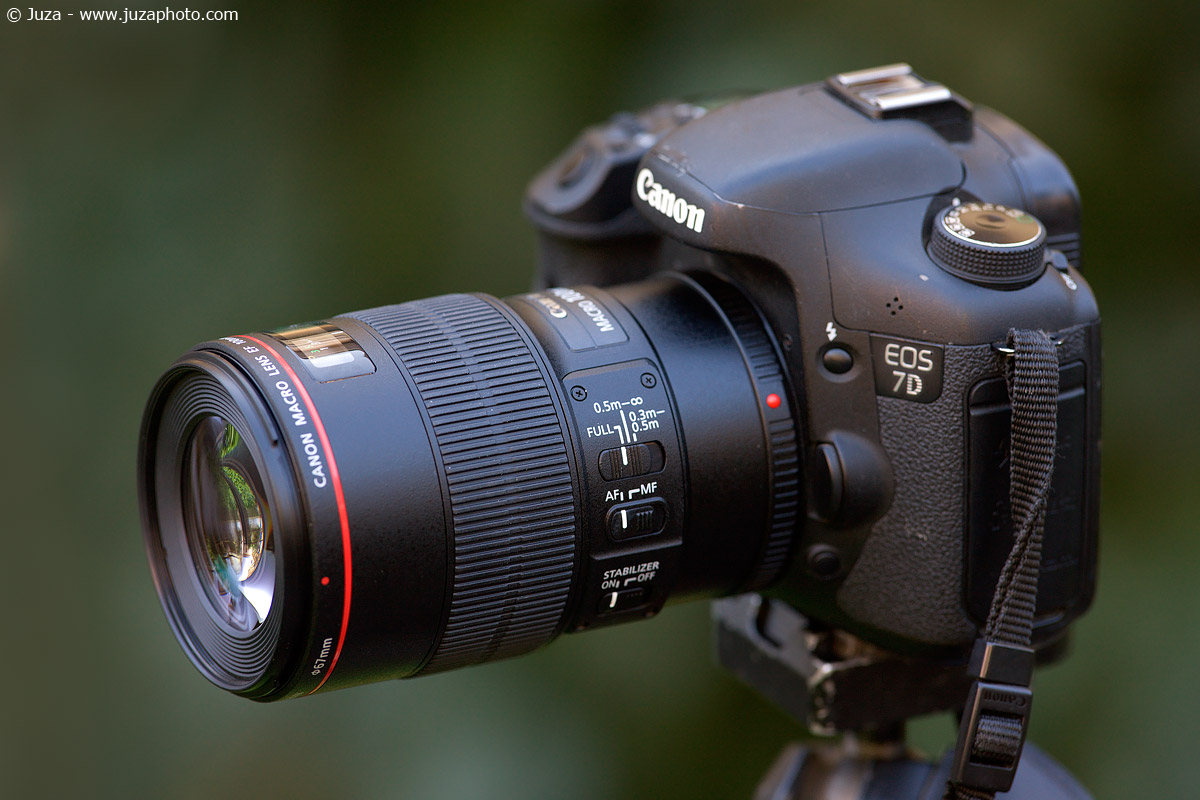 Canon EF 100MM F2.8L MACRO IS USM