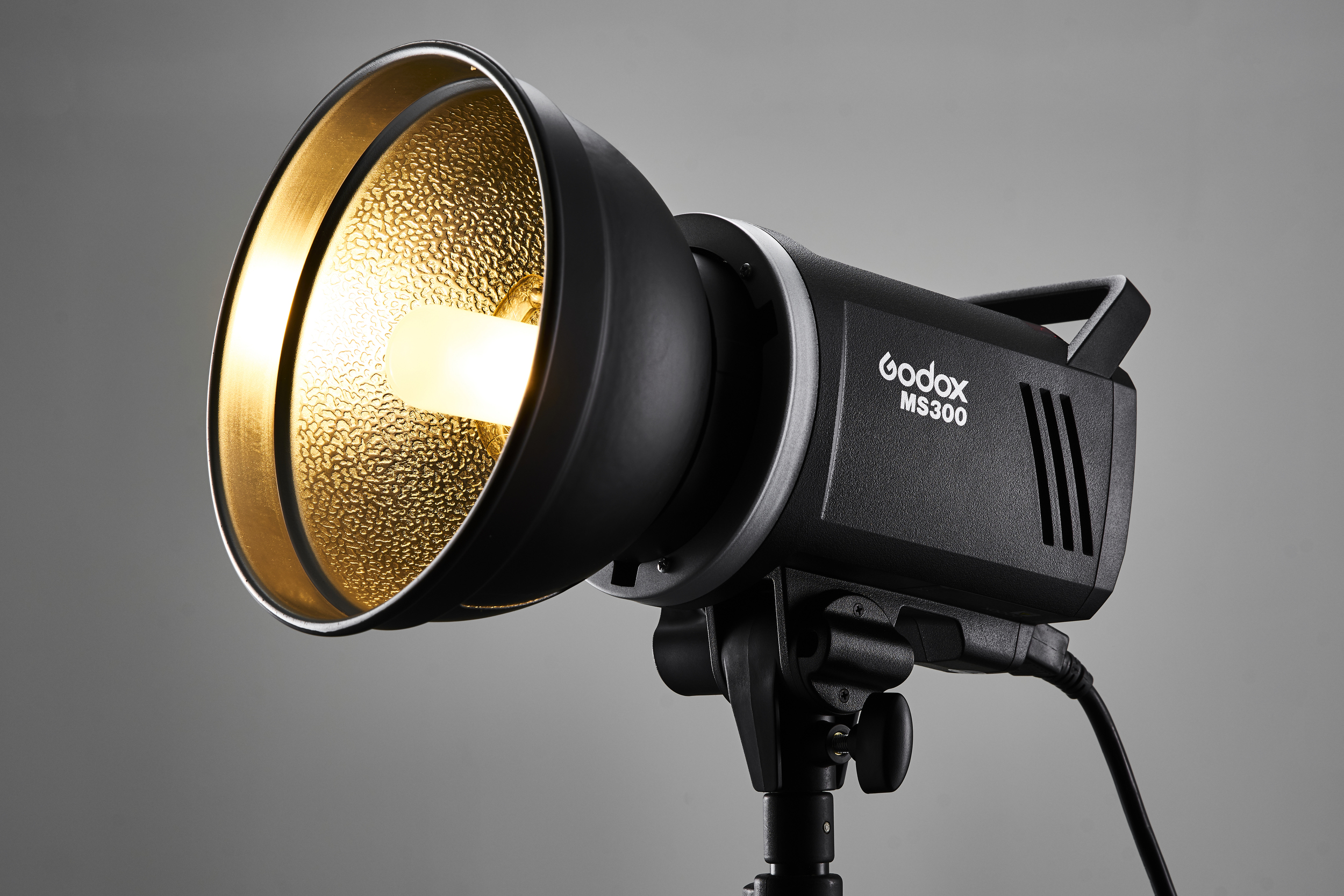 Godox MS300-D