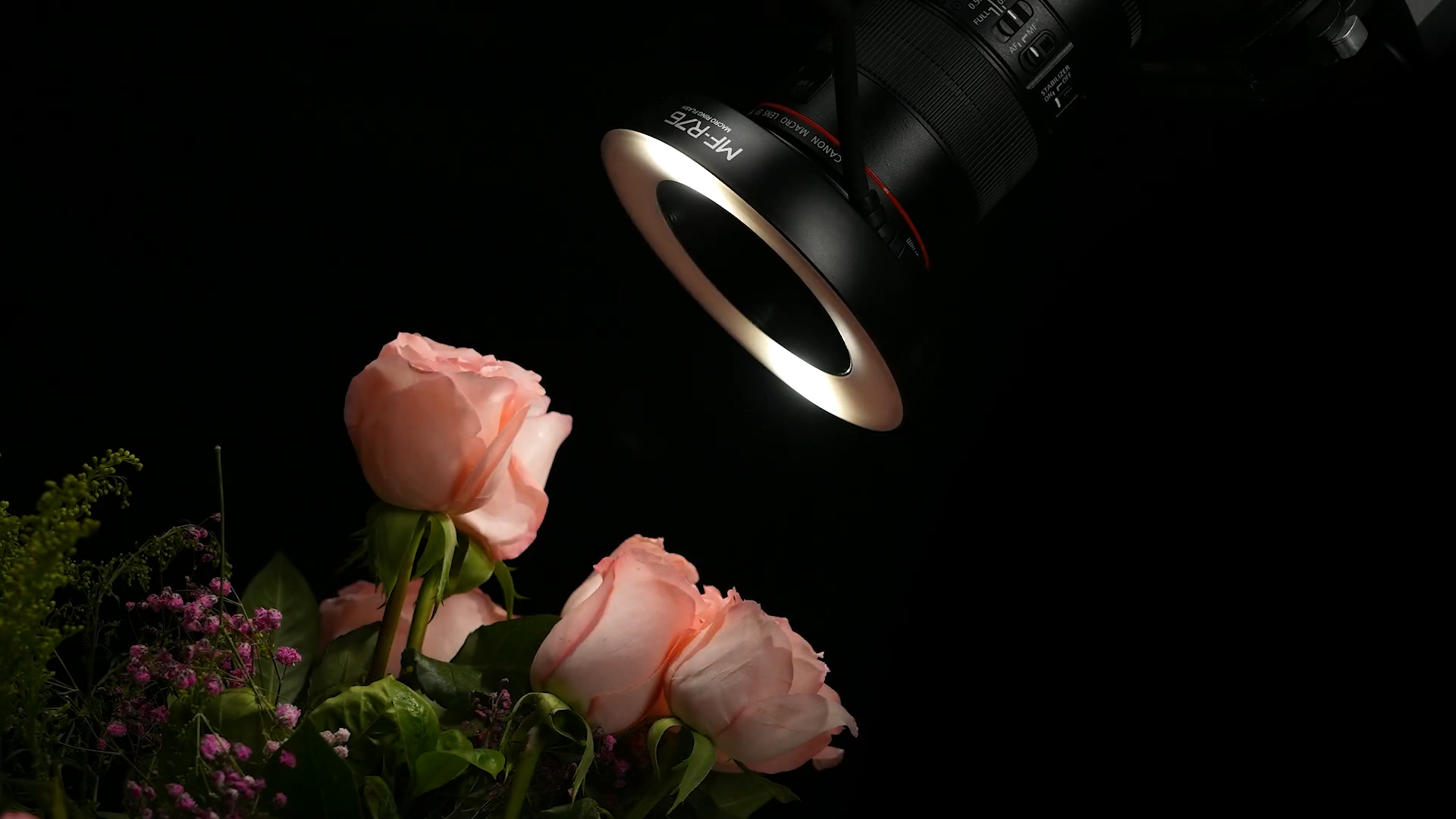 Godox MF-R76