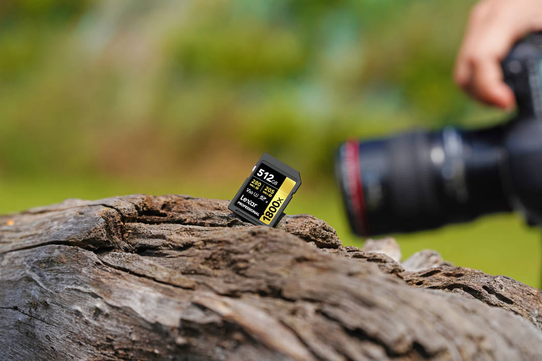 Lexar Pro 512GB UHS-II V60 SDXC Gold