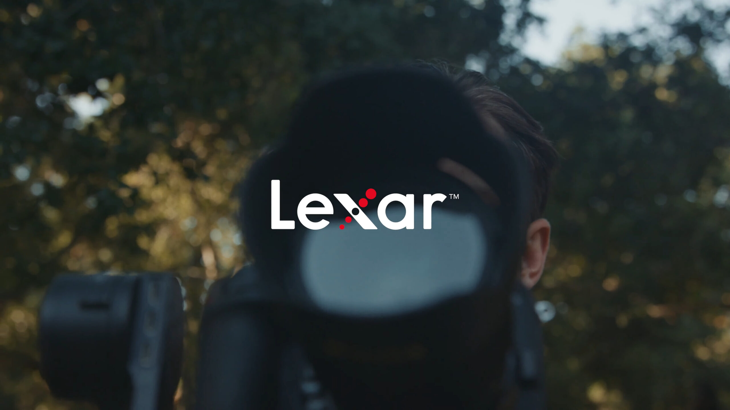 Lexar Pro 256GB UHS-II V60 SDXC Silver